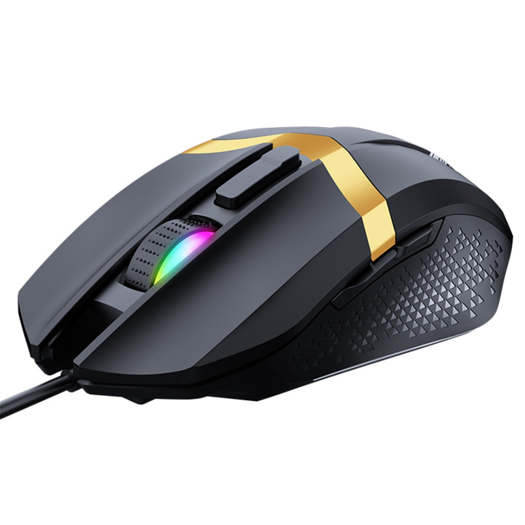 souris gamer