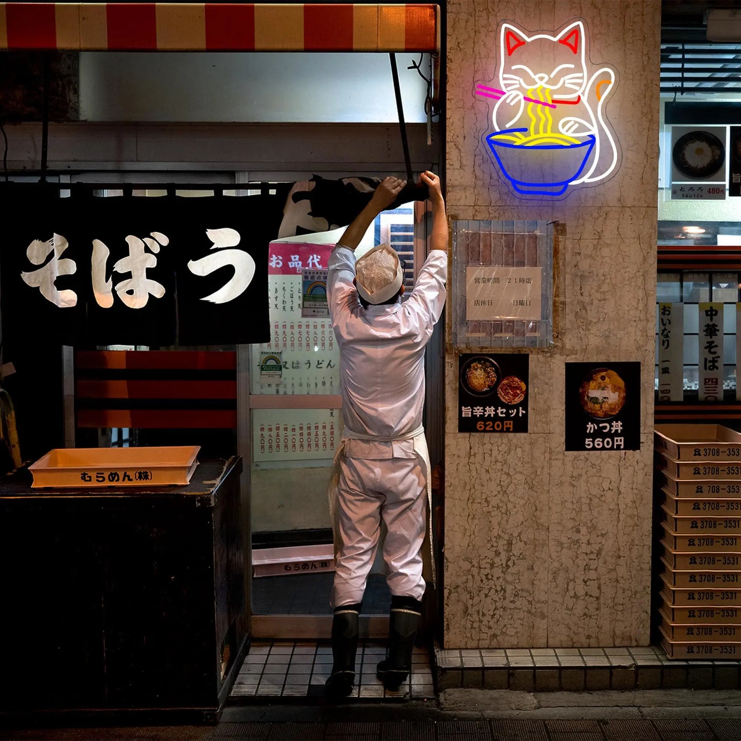 Néon LED Mural Chat Ramen